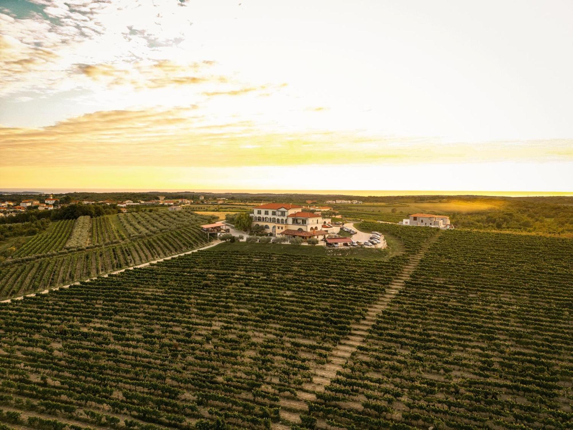 Wine Residence Cattunar บระทอนิกลา ภายนอก รูปภาพ